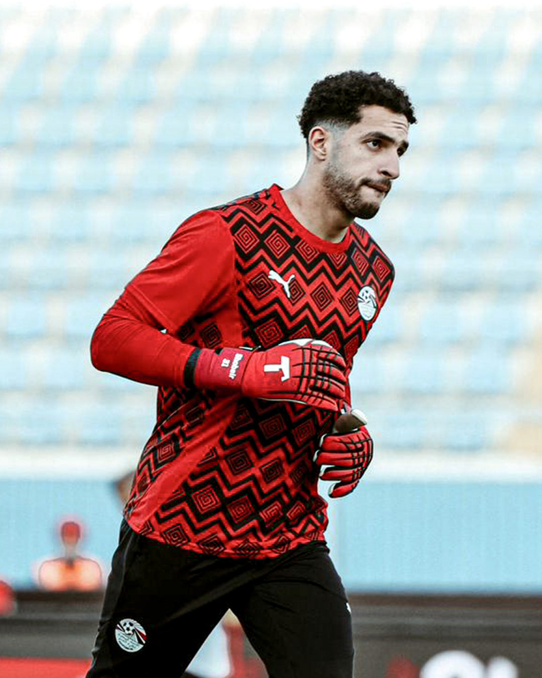 Mostafa Shobeir